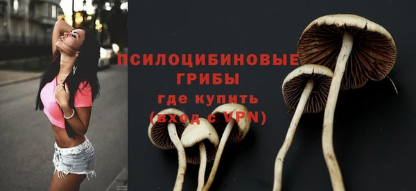 ешки Балахна