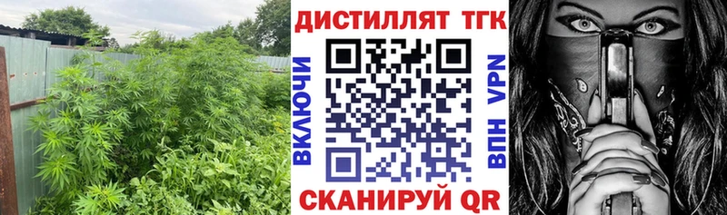 ТГК THC oil  kraken ссылки  сайты даркнета клад  Высоковск 