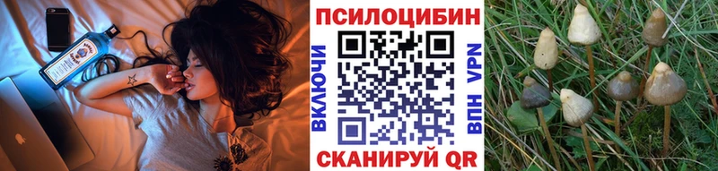 сколько стоит Высоковск Псилоцибиновые грибы прущие грибы